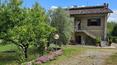 Toscana Immobiliare - Proprietà in vendita nella verdeggiante campagna toscana