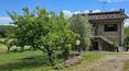 Toscana Immobiliare - Property for sale in the verdant Tuscan countryside
