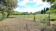 Toscana Immobiliare - La proprietà è situata a pochi km dal caratteristico borgo di Montefollonico