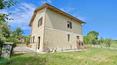 Toscana Immobiliare - The land is divided into 21,000 sqm of arable land and 5,000 sqm of woodland