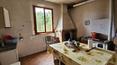 Toscana Immobiliare - Kleine Villa mit Nebengebäude und Grundstück in der toskanischen Landschaft, in der Gemeinde Torrita di Siena, zu verkaufen