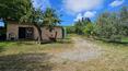 Toscana Immobiliare - A few metres from the house there is a 90 sqm annexe used as a shed