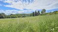 Toscana Immobiliare - Small villa with annex and land for sale in the Tuscan countryside, in the municipality of Torrita di Siena