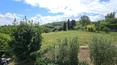 Toscana Immobiliare - Il terreno è suddiviso in 21.000 mq di seminativo e 5.000 mq di bosco