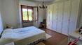 Toscana Immobiliare - Pequeña villa con anexo y terreno en venta en la campiña toscana, en el municipio de Torrita di Siena