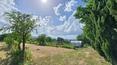 Toscana Immobiliare - In Tuscany, between Siena and Arezzo for sale country house with land and vineyard. Typical Tuscan property for sale with 2 farmhouses