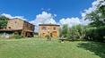 Toscana Immobiliare - In Tuscany, between Siena and Arezzo for sale country house with land and vineyard. Typical Tuscan property for sale with 2 farmhouses