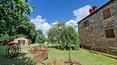 Toscana Immobiliare - In Tuscany, between Siena and Arezzo for sale country house with land and vineyard. Typical Tuscan property for sale with 2 farmhouses
