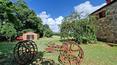 Toscana Immobiliare - Between Arezzo and Siena  for sale country house with garden vineyard