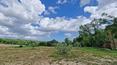 Toscana Immobiliare - Between Arezzo and Siena  for sale country house with garden vineyard