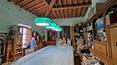 Toscana Immobiliare - Tuscany for sale country house with land and vineyard.