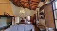 Toscana Immobiliare - Between Arezzo and Siena  for sale country house with garden vineyard