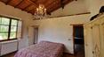 Toscana Immobiliare - Tra Siena ed Arezzo vendesi casolare di campagna con terreno e vigneto. Tipica proprietà toscana in vendita con 2 casali, annessi e terreno di 4 ha