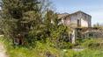 Toscana Immobiliare - Bauernhaus mit Panoramablick und 1,2 ha Land mit Olivenhain auf dem Land in der Toskana zu verkaufen