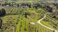 Toscana Immobiliare - La casa è posta sulle colline fiorentine in posizione baricentrica tra Castelfiorentino e Montespertoli