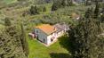 Toscana Immobiliare - The property is embellished by an olive grove with about 400 trees