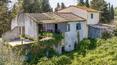 Toscana Immobiliare - Ferme avec vue panoramique et 1,2 ha de terrain avec oliveraie à vendre dans la campagne toscane