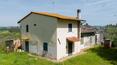 Toscana Immobiliare - La propiedad se ve reforzada por un olivar con aproximadamente 400 árboles