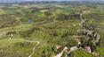 Toscana Immobiliare - La propriété est agrémentée d'une oliveraie d'environ 400 arbres