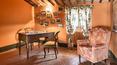 Toscana Immobiliare - Masía restaurada con 7 baños, 6 dormitorios, 7 ha de terreno y piscina panorámica en venta en las colinas de Orvieto, Umbría