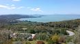 Toscana Immobiliare - La proprietà, immersa nell'incantevole paesaggio umbro, offre una vista panoramica senza eguali sul Lago Trasimeno