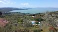 Toscana Immobiliare -  Luxury villa with panoramic swimming pool, 2 ha of land with olive grove and view of Lake Trasimeno for sale in Umbria