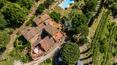 Toscana Immobiliare - Casa colonica di lusso con piscina, circondata dalla verdeggiante campagna e dai caratteristici ulivi della Toscana