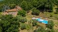 Toscana Immobiliare - Luxury farmhouse with swimming pool, surrounded by the verdant countryside and characteristic Tuscan olive trees