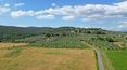 Toscana Immobiliare - Grundstück mit einer Villa, einem Bauernhaus, zwei Swimmingpools und einem Nebengebäude zu verkaufen in Arezzo, Toskana