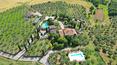 Toscana Immobiliare - The property for sale includes 22 hectares of land with woodland, arable land and an olive grove with 1000 trees