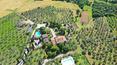 Toscana Immobiliare - Magnifique villa historique entourée de verdure, avec piscines privées et vue panoramique sur la région du Chianti, à vendre à Arezzo