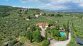 Toscana Immobiliare - Die Immobilie zum Verkauf umfasst 22 Hektar Land mit Wald, Ackerland und Olivenhainen