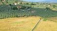 Toscana Immobiliare - Prächtige historische Villa mit Nebengebäuden und privaten Pools in der Toskana