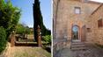 Toscana Immobiliare - Luxuriöses Bauernhaus mit Schwimmbad, umgeben von grüner Landschaft und typischen toskanischen Olivenbäumen
