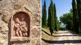 Toscana Immobiliare - Il terreno di circa 18 ha è composto da bosco con piante secolari di quercia, seminativo, oliveto e un vigneto con uve di Cabernet, Merlot e Syrah
