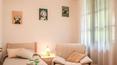 Toscana Immobiliare - Luxury properties in Tuscany