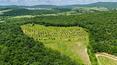 Toscana Immobiliare - Renoviertes Bauernhaus mit Nebengebäuden, Panoramaschwimmbad und 18 ha Land mit Weinbergen und Olivenhainen in Sinalunga, Toskana