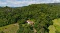 Toscana Immobiliare -  Rustic farmhouse with 10 ha of land with woodland, arable land and chestnut grove for sale in Casentino, in the Tuscan hills