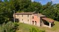 Toscana Immobiliare - Un viale alberato di cipressi in squisito stile toscano conduce al casale, costruito interamente in pietra locale