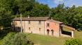 Toscana Immobiliare - Splendid farmhouse for sale in Casentino
