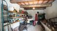 Toscana Immobiliare - Luxury real estate agency