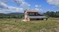Toscana Immobiliare - Unfinished farmhouse with private garden and possibility to build a swimming pool and an agricultural annexe in Tuscany