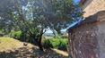 Toscana Immobiliare - Stone farmhouse for sale in Montepulciano Tuscany