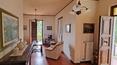 Toscana Immobiliare -  Propiedad compuesta por una villa, 2 anexos y 5,4 hectáreas de terreno con olivares, viñedos, tierras de cultivo y bosques en venta en Toscana