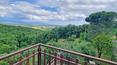 Toscana Immobiliare - La proprietà è circondata da 5,4 ha di terreno con oliveto, vigneto, seminativo e bosco