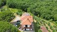 Toscana Immobiliare -  Interesting property surrounded by greenery for sale in a hilly and panoramic position in Ciggiano, in the municipality of Civitella in Val di Chiana, Tuscany