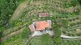 Toscana Immobiliare - The property consists of three buildings (the main villa and two annexes) and approximately 5.4 hectares of land