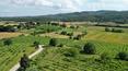 Toscana Immobiliare - La proprietà è composta dal casale di circa 300 mq con resede e da circa 2 ettari di vigneto