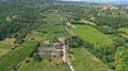 Toscana Immobiliare - Renovierungsbedürftiges Bauernhaus mit Weinberg in der Provinz von Arezzo