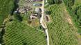Toscana Immobiliare - Ferme à rénover avec vignoble dans la province d'Arezzo